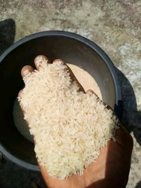 White Rice (De-stoned) - Image 3