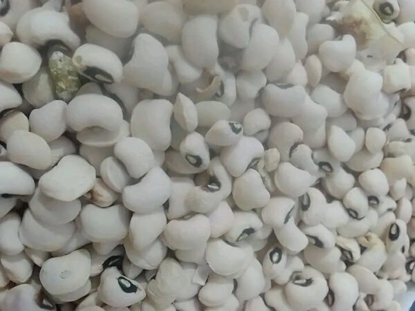 Cashew Beans (Potasco, White) - Image 3