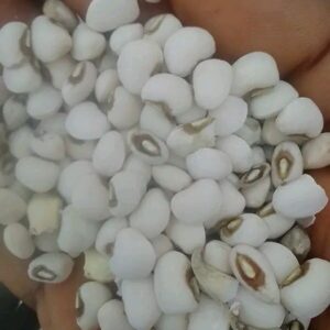 Cashew Beans (Potasco, White)