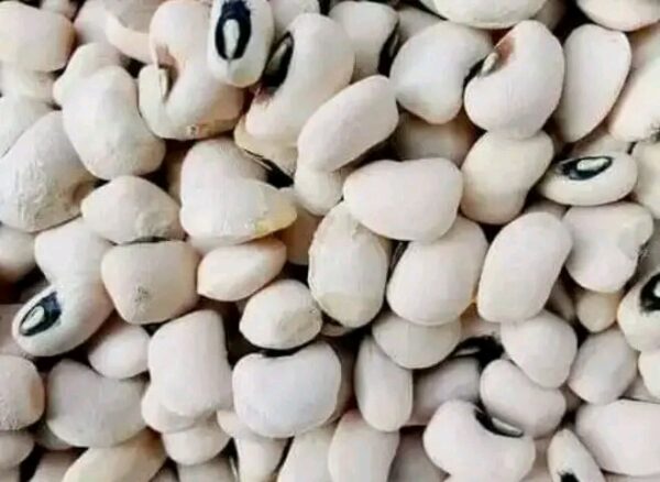 White Beans  (Iron)