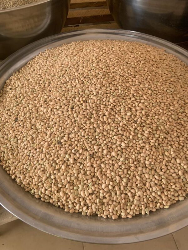 Butter Beans ( Milk Beans )