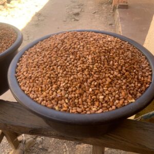 Normal Brown Beans
