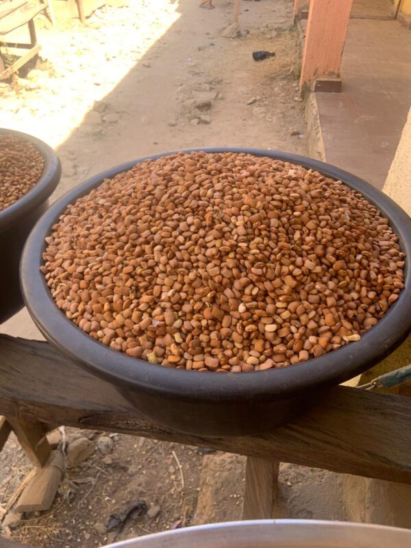 Normal Brown Beans